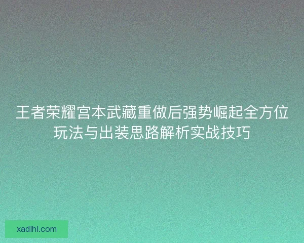 王者荣耀宫本武藏重做后强势崛起全方位玩法与出装思路解析实战技巧